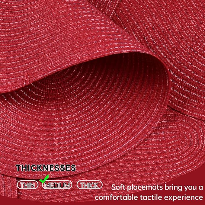 Placemats Set of 4, Woven Oval Braided Dining Table Mats | 12 x 17.5 Inch Size - Image 3