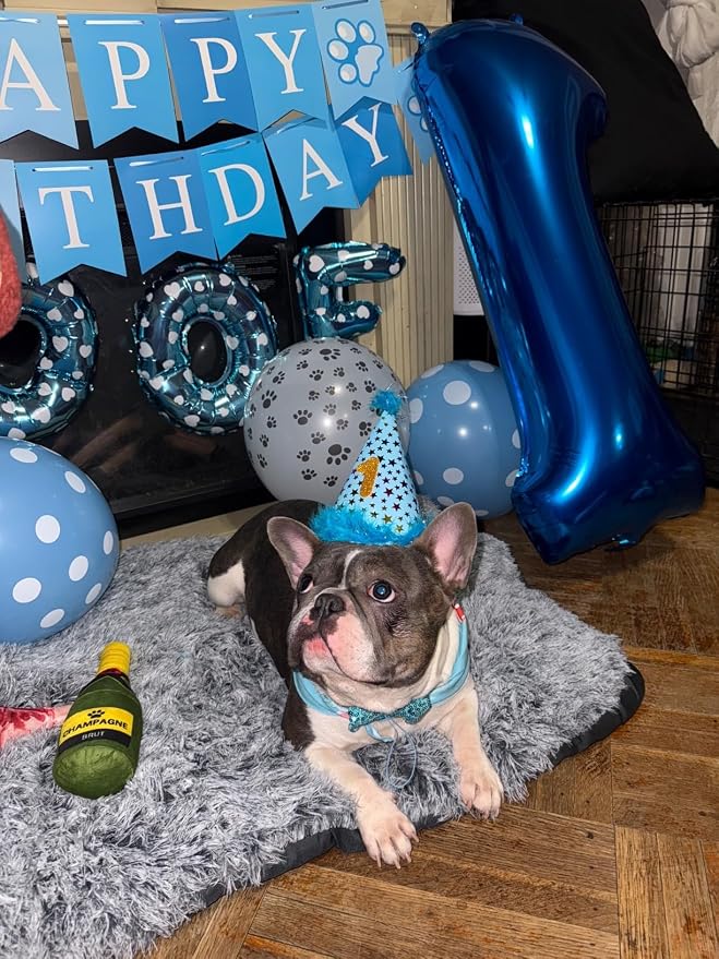 25 Balloon - Metallic Blue Birthday Number Balloons, 40 Inch Decorations | - Image 7