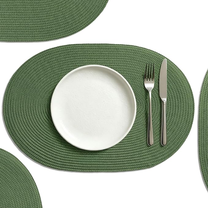 AHHFSMEI Placemats Set of 6 for Dining Table Washable Woven Non-Slip 18x12 by AHHFSMEI