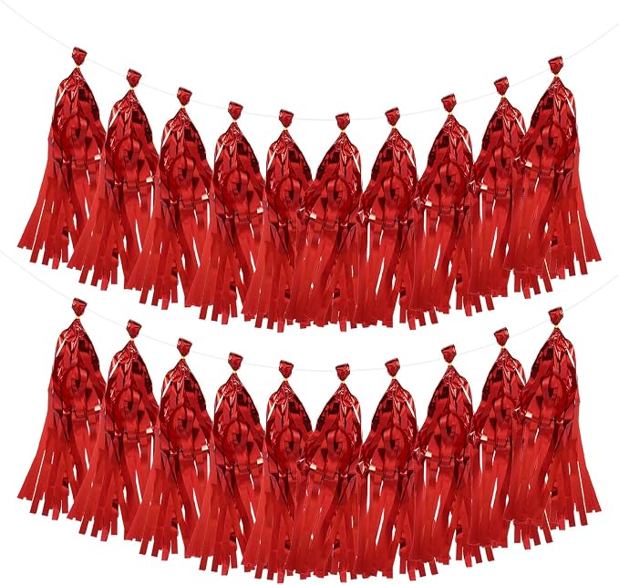 MECCANIXITY 20Pcs Shiny Tassel Garland Banner Tissue Paper by MECCANIXITY