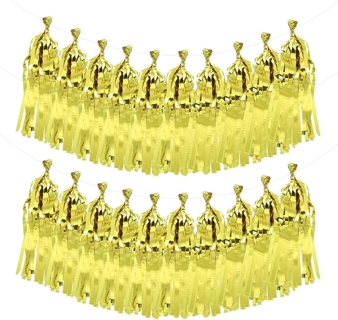 MECCANIXITY 20Pcs Shiny Tassel Garland Banner Tissue Paper by MECCANIXITY