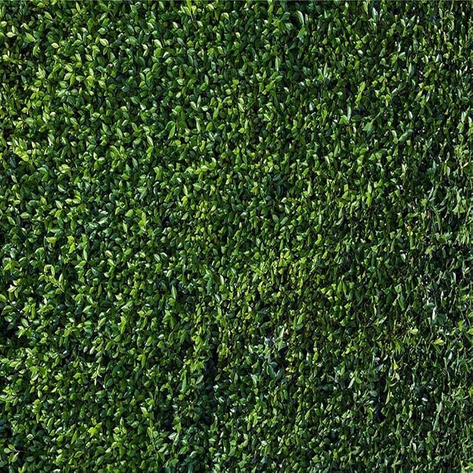 Nature Spring 3D Green Leaves Theme Photo Background Wedding Birthday Party - Image 3