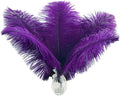 Ballinger Purple Ostrich Feathers Bulk - 24Pcs 12-14inch Big Feathers for Vase, Party Centerpieces Mardi Gras and Home Decor