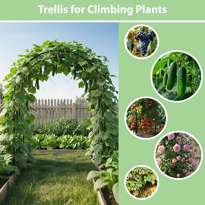 RUBFAC 7.8ft Garden Arch, Metal Trellis - Image 4
