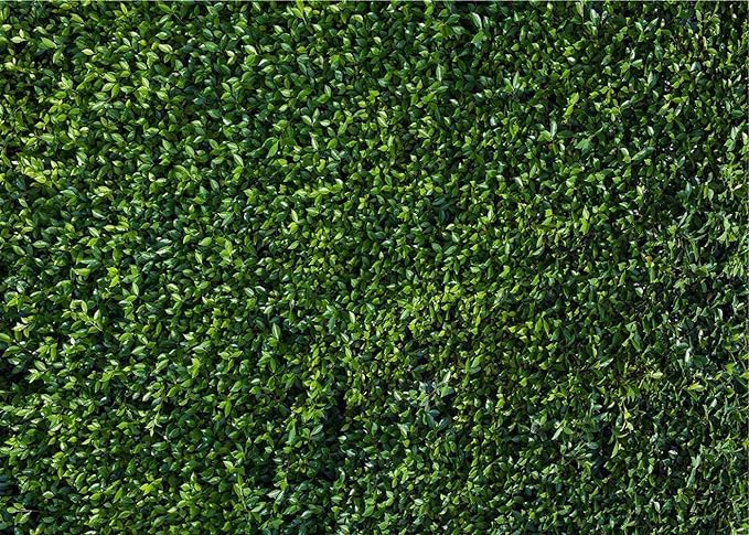 Nature Spring 3D Green Leaves Theme Photo Background Wedding Birthday Party - Image 7
