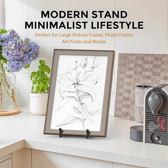 TR-LIFE 10 Inch Large Plate Stands for Display - Metal Plate Holder Display Stand + Picture Frame Holder Stand + Small Easels for Decorative Platter, Book, Plaques, Photo, Tabletop Art (2 Pack)