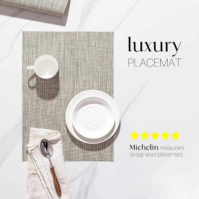 LEXMORE Placemat Set of 4 Vinyl/Plastic Woven Place Mats - Image 2