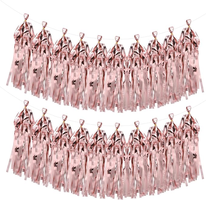 MECCANIXITY 20Pcs Shiny Tassel Garland Banner Tissue Paper by MECCANIXITY