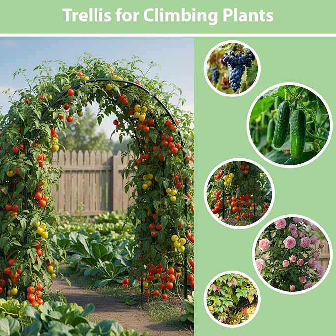 RUBFAC 7.8ft Garden Arch, Metal Trellis - Image 4