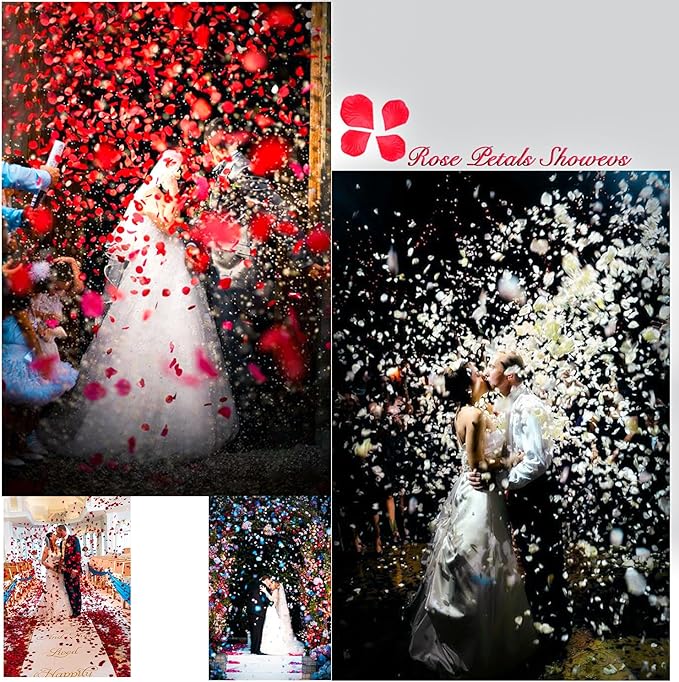 1000 Pieces Artificial Silk Rose Petals Flower Decoration Wedding Party (Green Plus White)