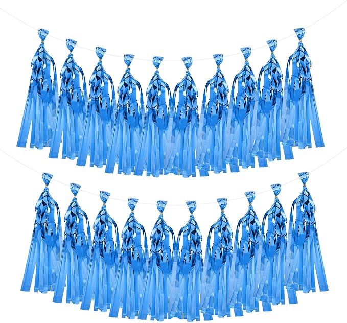 MECCANIXITY 20Pcs Shiny Tassel Garland Banner Tissue Paper by MECCANIXITY
