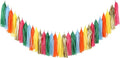 Fonder Mols Tassel Garland DIY Kit Papel Picado Decor Birthday Party Mexican by FonderMols
