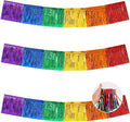 BEISHIDA Colorful Fringe Garland Banner 30ft Wall Tinsel Foil Streamers | 3Pack by Beishida