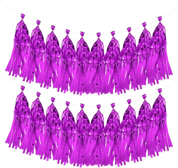 MECCANIXITY 20Pcs Shiny Tassel Garland Banner Tissue Paper by MECCANIXITY
