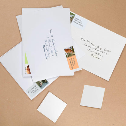 Customized Personalized Address Labels - Made in The USA by Kenco (500 Labels, Forest Wildlife)