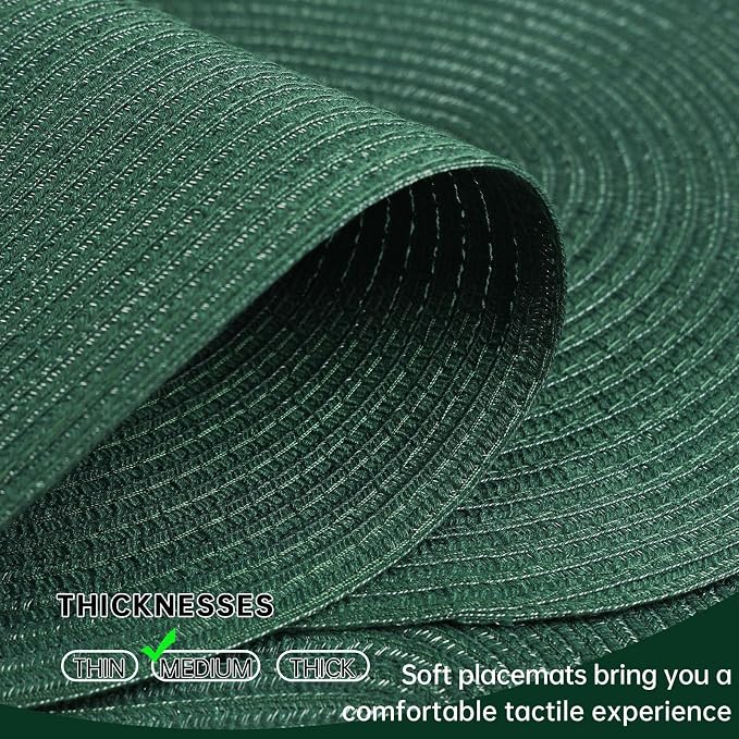 Placemats Set of 6, Woven Oval Braided Dining Table Mats | 12 x 17.5 Inch Size - Image 3