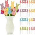 TICIAGA 28PCS Easter Wooden Picks Decorations by TICIAGA