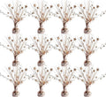 12 Pack Metallic Rose Gold Foil Spray Centerpieces Stars Brust Table by Egolot