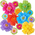 TaoBary Large Colorful Tissue Paper Flowers Giant Fiesta Paper Pom Poms by TaoBary
