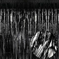 Black Foil Fringe Curtain by EUFARS