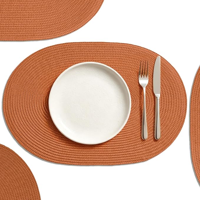 AHHFSMEI Placemats Set of 6 for Dining Table Washable Woven Non-Slip 18x12 by AHHFSMEI