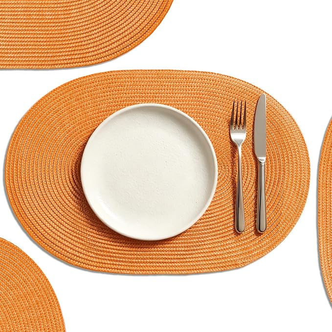 AHHFSMEI Placemats Set of 4 for Dining Table Washable Woven Non-Slip 18x12 by AHHFSMEI