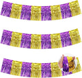 BEISHIDA Purple Gold Fringe Garland Banner 30ft Wall Tinsel Foil Streamers | by Beishida
