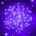 ZGWJ 100PCs Purple Balloon Lights Mini, Battery Powered, Long Standby Time by ZGWJ