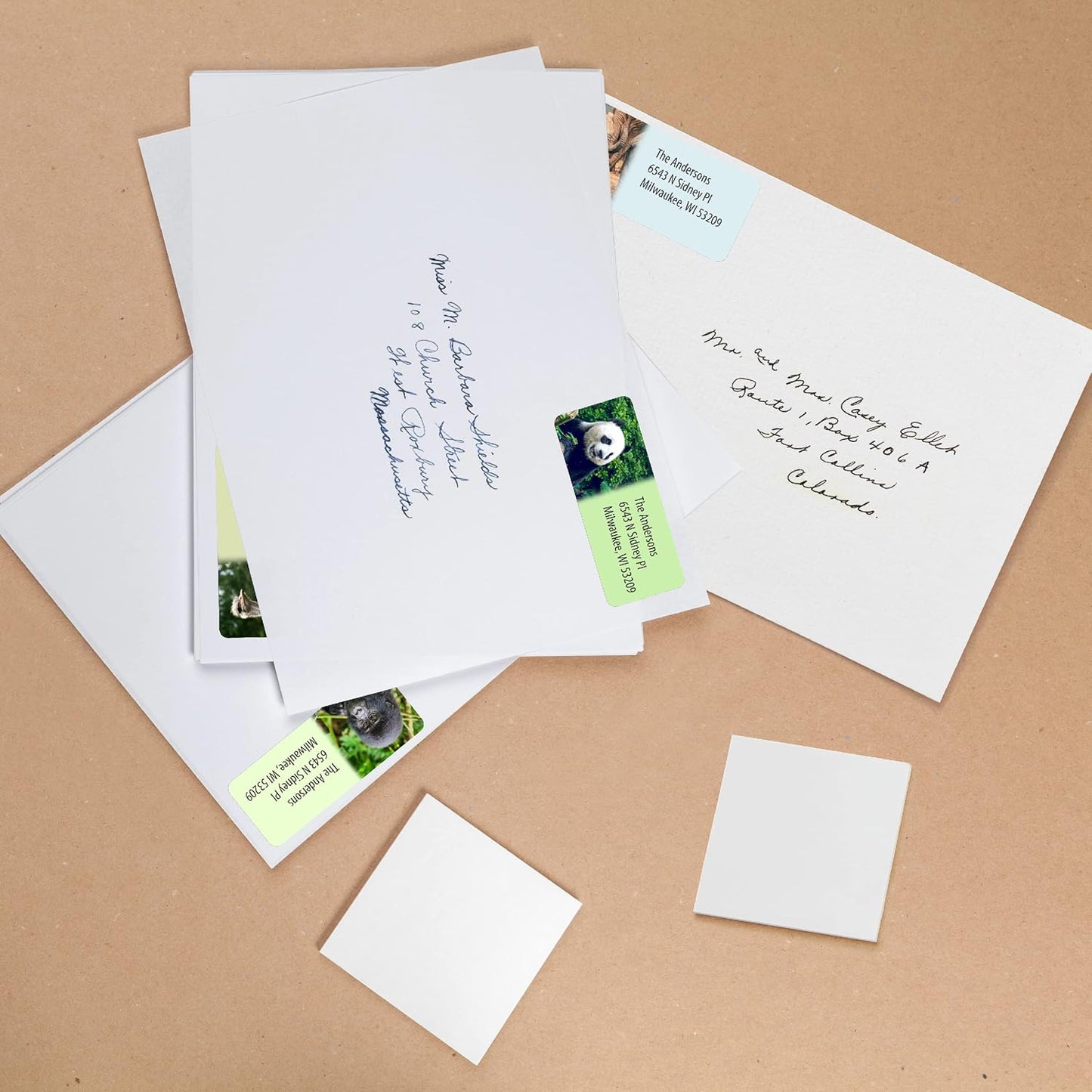 Customized Personalized Address Labels - Made in The USA by Kenco (Wild Animals, 500 Labels)