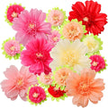 TaoBary Large Colorful Tissue Paper Flowers Giant Fiesta Paper Pom Poms by TaoBary