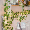 33FT Watermelon Vines with Lights Battery&USB Powered Copper Wire | 100Led by SUDDUS