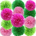 We Moment Pink and Green Tissue Paper Pom Poms，Hanging Pom Poms Flower by We+Moment