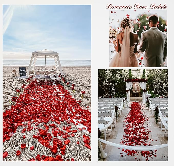 1000Pieces Rose Petals, Artificial Flower Petals Fake Rose Petals for Romantic Night,Wedding,Proposal Anniversary Flower Decorations (Rose Red)