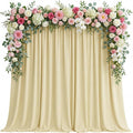 Asee'm Beige Backdrop Curtains Drapes by Aseem