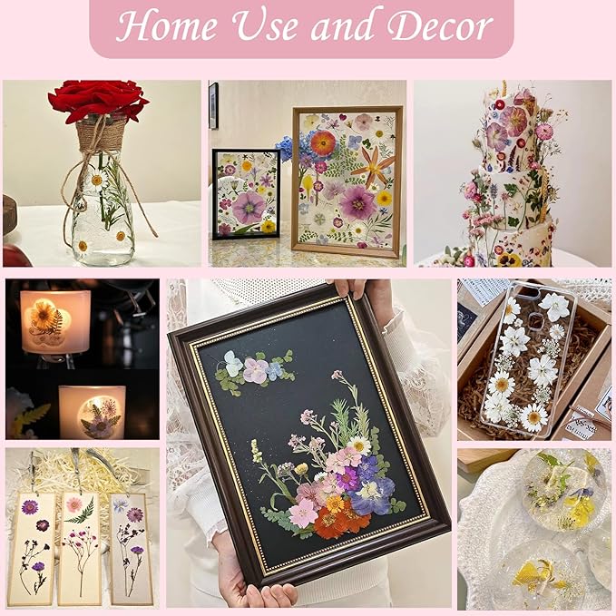 100P White Foliage & Flower Mix Dried Flowers for Crafts, Real Natural Pressed Flowers for DIY Crafts, Resin Jewelry, Candle Art & Scrapbooking Crafts – Tweezers Included
