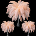 Maitys 90 Pcs Large Natural Ostrich Feathers Bulk 14-16 Inch (35-40cm) 12-14 Inch (30-35cm) 10-12 Inch (25-30cm) Ostrich Feathers Plumes for Centerpieces Wedding(Champagne)