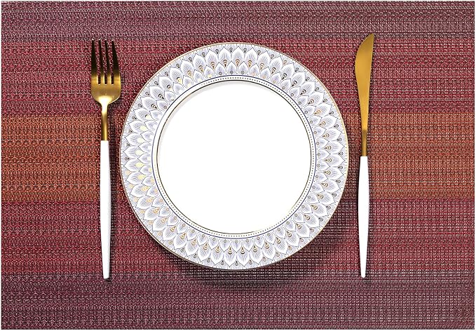 LEXMORE Placemats Set of 6 Vinyl/Plastic Woven Place Mats by lexmore
