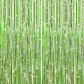 GCB 2Pack Light Green Foil Curtain Backdrop Green Metallic Tinsel Foil Fringe by GCBPartyDecorations