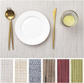 LEXMORE Placemats Set of 8 Vinyl/Plastic Woven Place Mats by lexmore