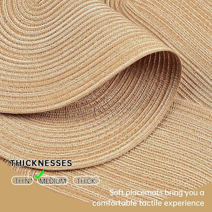 Placemats Set of 6, Woven Oval Braided Dining Table Mats | 12 x 17.5 Inch Size - Image 3