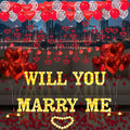 Will You Marry Me Light Up Letters Proposal Decorations by Fezava