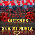 Quieres Ser Mi Novia Light Up Letters Proposal Decorations by Fezava