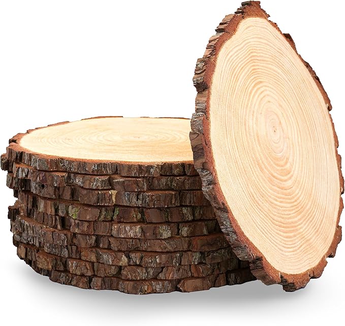 Set of 11-13 inch Large Wood Slices by RusticWoodSlices